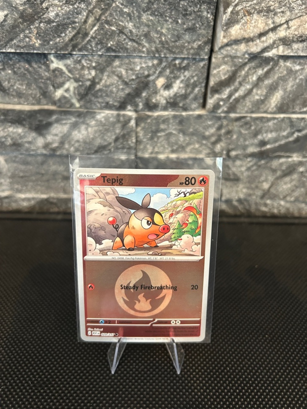 Pokémon Tepig 029/217 Reverse Holo Rare from Ascended Heroes‎ Set M/NM